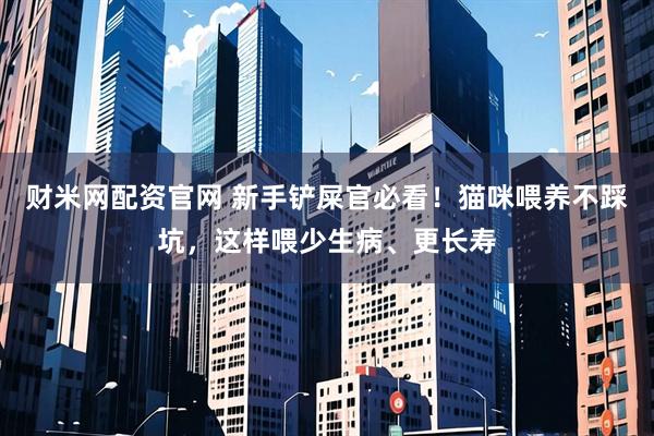 财米网配资官网 新手铲屎官必看！猫咪喂养不踩坑，这样喂少生病、更长寿